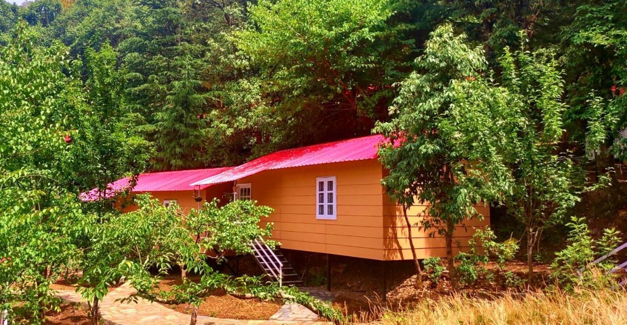 Aaroham Resort, Shimla Eksteriør billede
